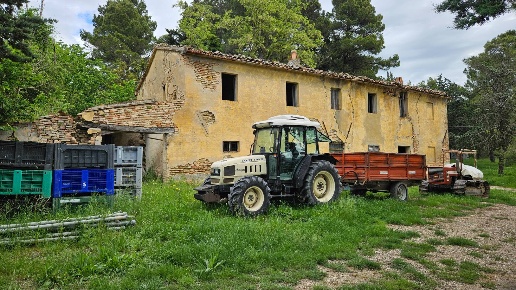 immagine annuncio 10 di 15