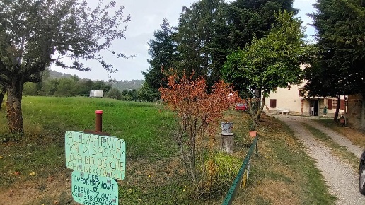 immagine annuncio 8 di 12