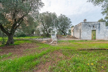 Foto Rustico in Contrada Boezio - Calcagni, Ostuni di 40 m² con 2 locali