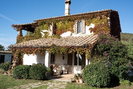 Foto Rustico in Via Della Ficona, Capalbio di 500 m² con 10 locali