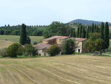 Foto Rustico a Torrita di Siena di 630 m² con 15 locali in vendita