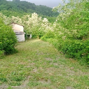 Foto Rustico in Via Ca' Di Parei, Pontinvrea Centro di 277 m² con 8 locali