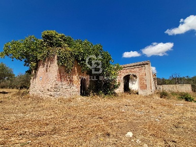 Foto Rustico in Contrada Cazzanoce, Mesagne di 100 m² con 3 locali