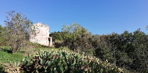 Foto Rustico in contrada Tratturo, Monteodorisio di 220 m² con 10 locali