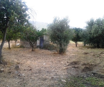 Foto Rustico a Scicli con 3 locali in vendita