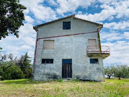 immagine annuncio 3 di 11