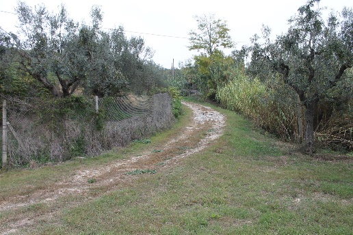 immagine annuncio 6 di 11