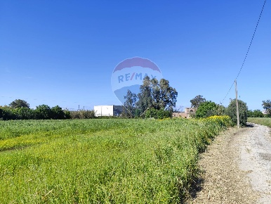 Foto Rustico in viale pantanelli, Siracusa Pantanelli - Elorina di 550 m²