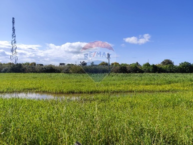 Foto Rustico in viale pantanelli, Siracusa Pantanelli - Elorina di 550 m²