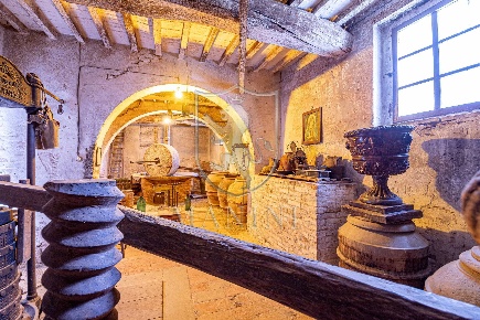 Foto Rustico a Castiglione del Lago Casamaggiore di 1000 m² con 21 locali