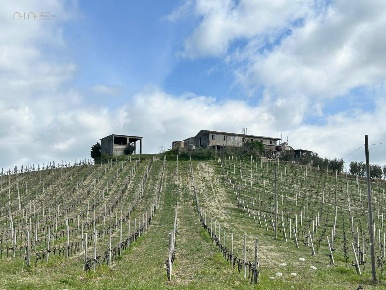 Foto Rustico in Contrada San Venanzo, Castignano di 250 m² con 6 locali