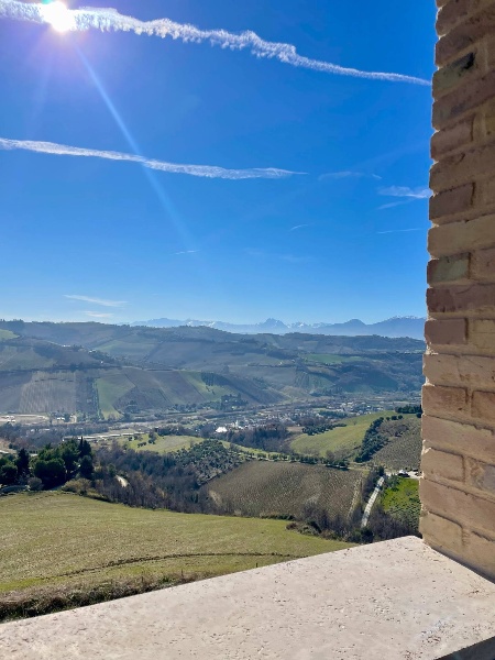 immagine annuncio 1 di 12