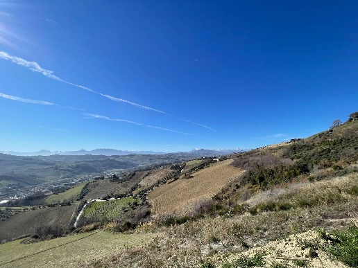 immagine annuncio 8 di 12