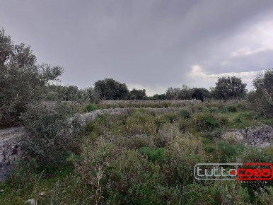 Foto Rustico in CONTRADA CATTETO, Scicli con 8 locali in vendita
