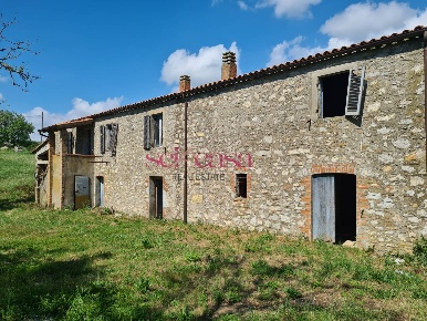 Foto Rustico a Scansano di 300 m² con 15 locali in vendita