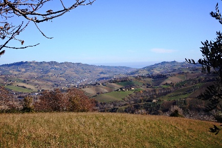 Foto Rustico in Contrada Pittura, Castignano di 133 m² con 5 locali