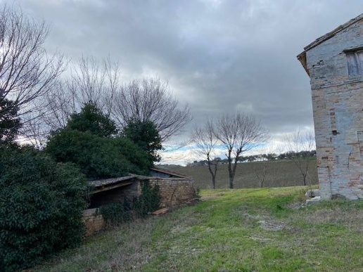 immagine annuncio 7 di 11