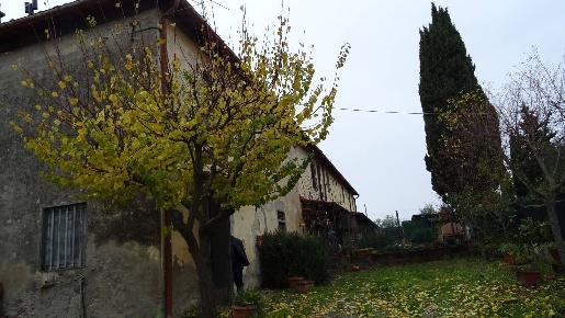 Foto Rustico a Montespertoli di 210 m² con 9 locali in vendita