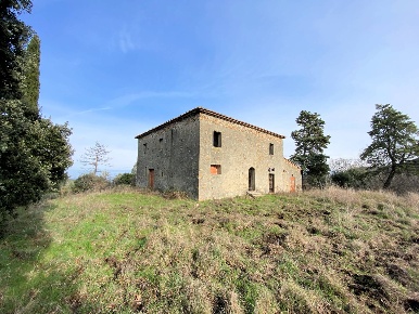 Foto Rustico a Lajatico Centro di 300 m² con 9 locali in vendita