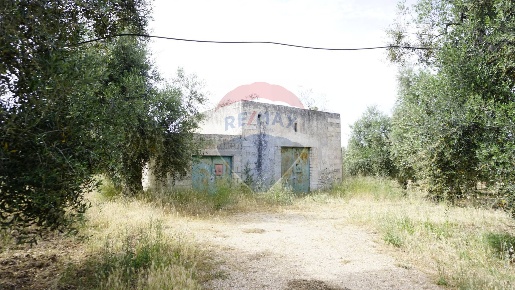 Foto Rustico in Località Focareta, Vieste di 70 m² con 1 locali in vendita