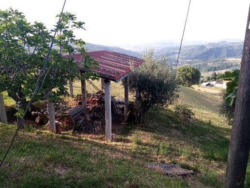 immagine annuncio 1 di 8
