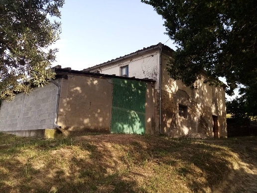 immagine annuncio 3 di 8