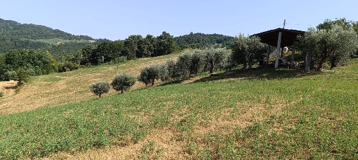 immagine annuncio 6 di 8