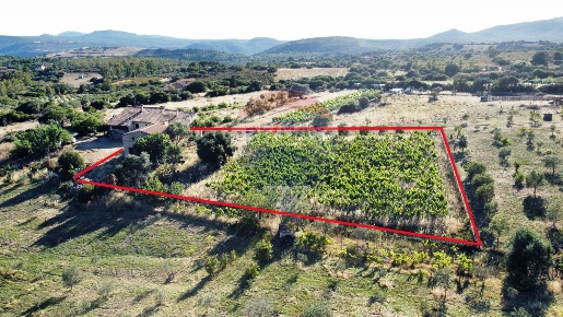Foto Rustico in loc. Monte Arrubiu, Teulada di 180 m² con 6 locali
