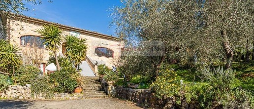 Foto Rustico a Camaiore Camaiore Paese di 385 m² con 15 locali in vendita