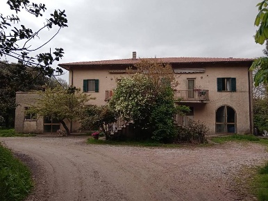 Foto Rustico in scansano, Scansano di 750 m² con 100 locali in vendita