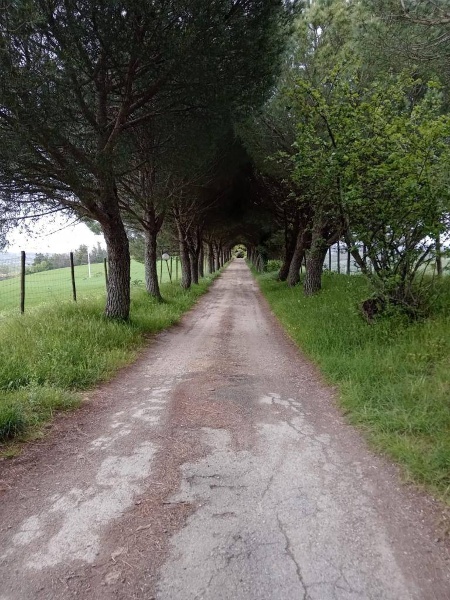 immagine annuncio 2 di 7