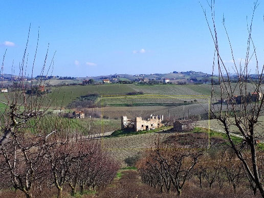immagine annuncio 4 di 13