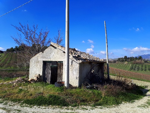 immagine annuncio 6 di 13