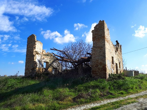 immagine annuncio 7 di 13