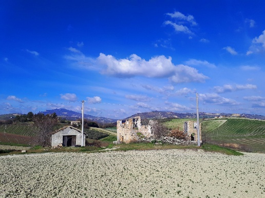 immagine annuncio 12 di 13