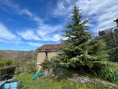 Foto Rustico a Cairo Montenotte di 55 m² con 2 locali in vendita