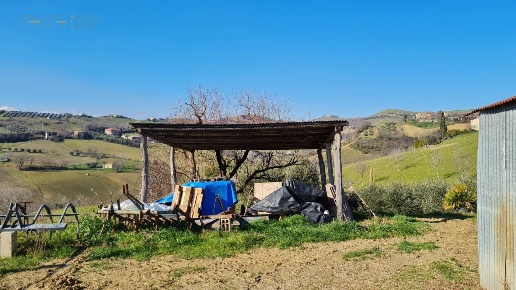 immagine annuncio 4 di 12