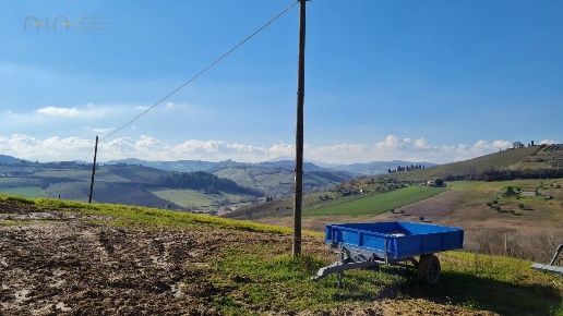 immagine annuncio 5 di 12