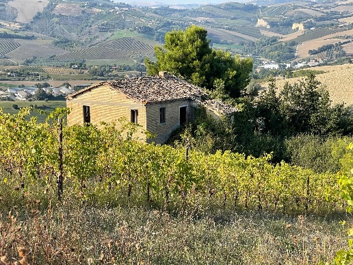 immagine annuncio 8 di 11