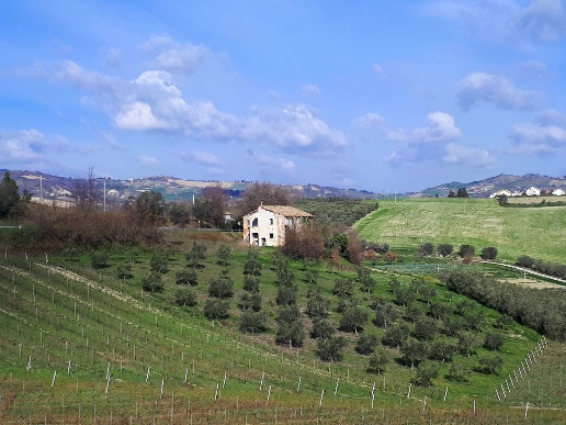 immagine annuncio 2 di 15