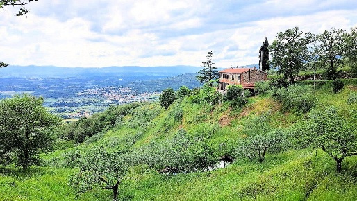 Foto Rustico a Castiglion Fibocchi Centro di 280 m² con 8 locali in vendita