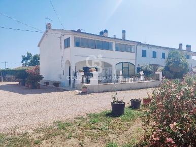 Foto Rustico in Località Centro D, Capalbio di 200 m² con 10 locali