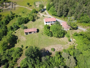 Foto Rustico in frazione girini, Dego di 350 m² con 11 locali in vendita