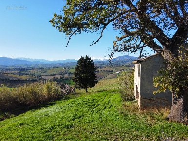 Foto Rustico a Offida Centro di 250 m² con 5 locali in vendita