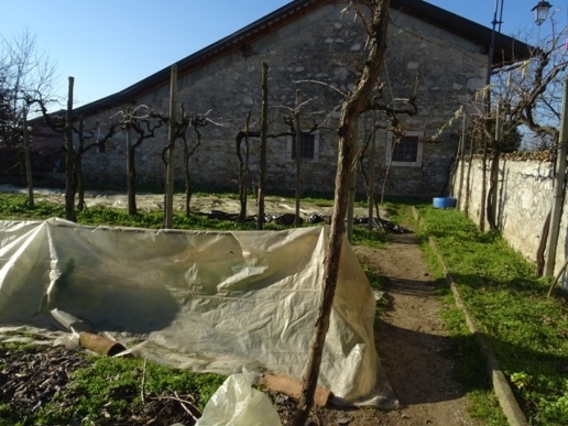 immagine annuncio 10 di 15