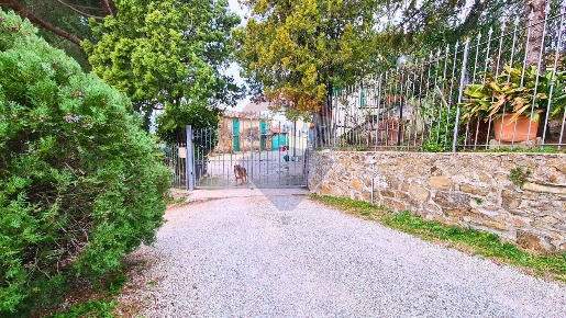 Foto Rustico in Via Di S.Amato, Vinci di 500 m² con 12 locali in vendita