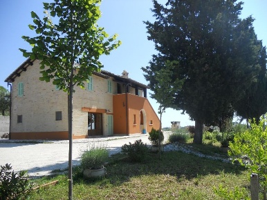 Foto Rustico in offida, Offida Centro di 300 m² con 10 locali in vendita