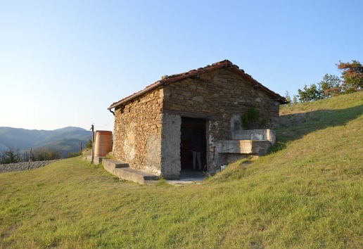 immagine annuncio 6 di 12