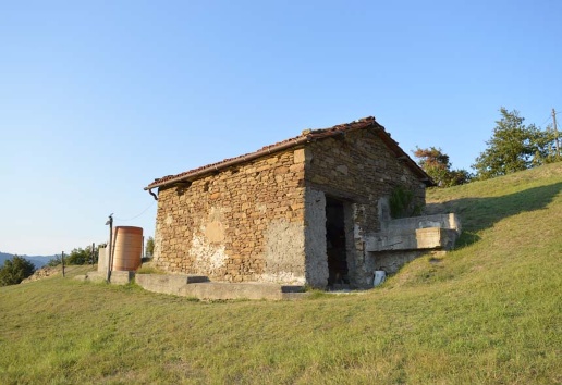 immagine annuncio 7 di 12