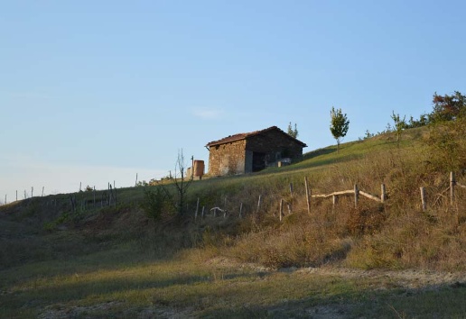 immagine annuncio 8 di 12
